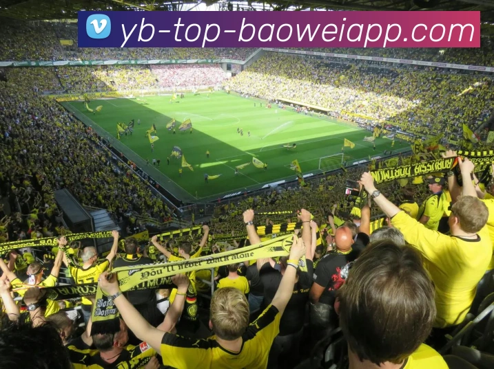 宝威体育品牌故事