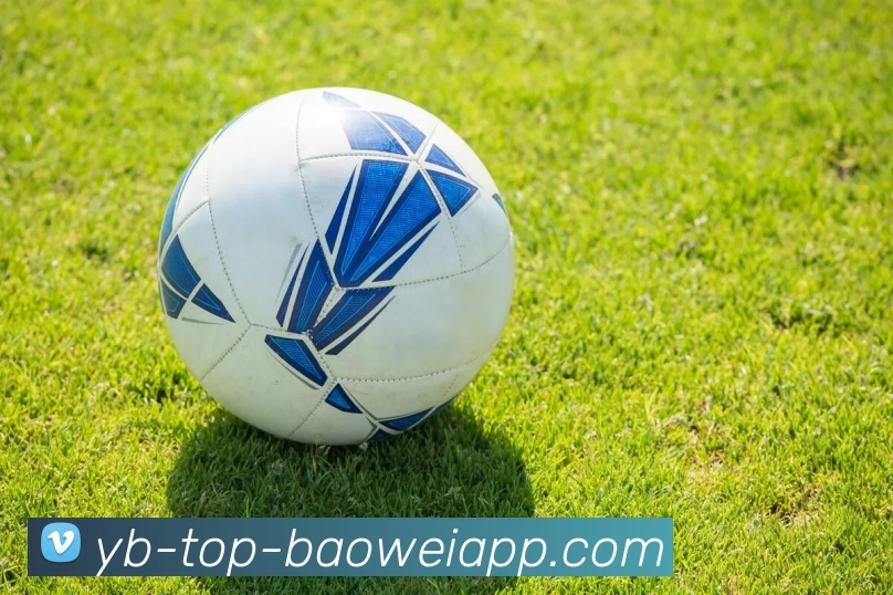 宝威体育服务体系